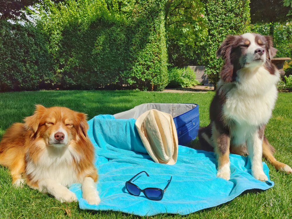 Lilly en Ayka zonnen