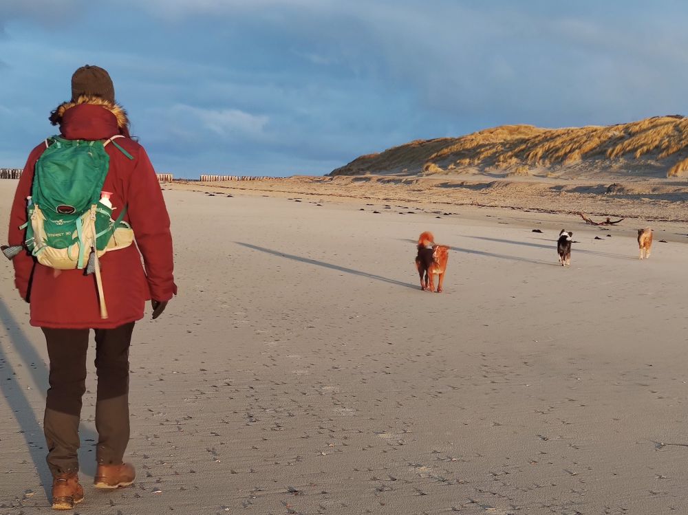 Strand